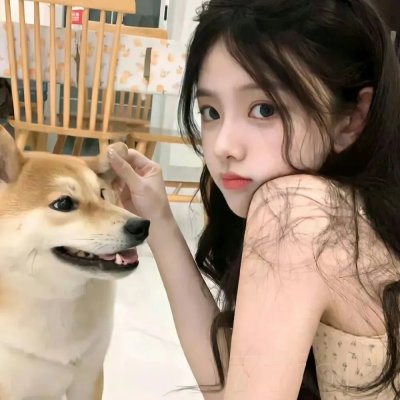 多罗罗2019